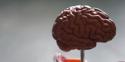 Badanie na Alzheimera z krwi – jakie wykonać?